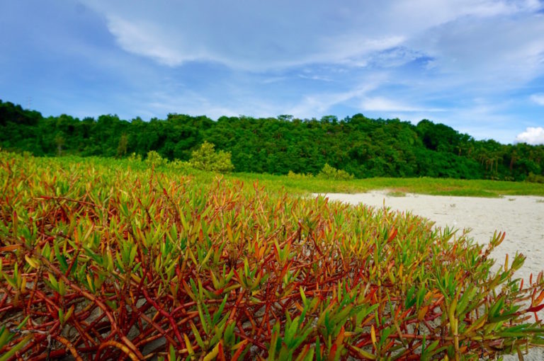 loon bohol tourist spot